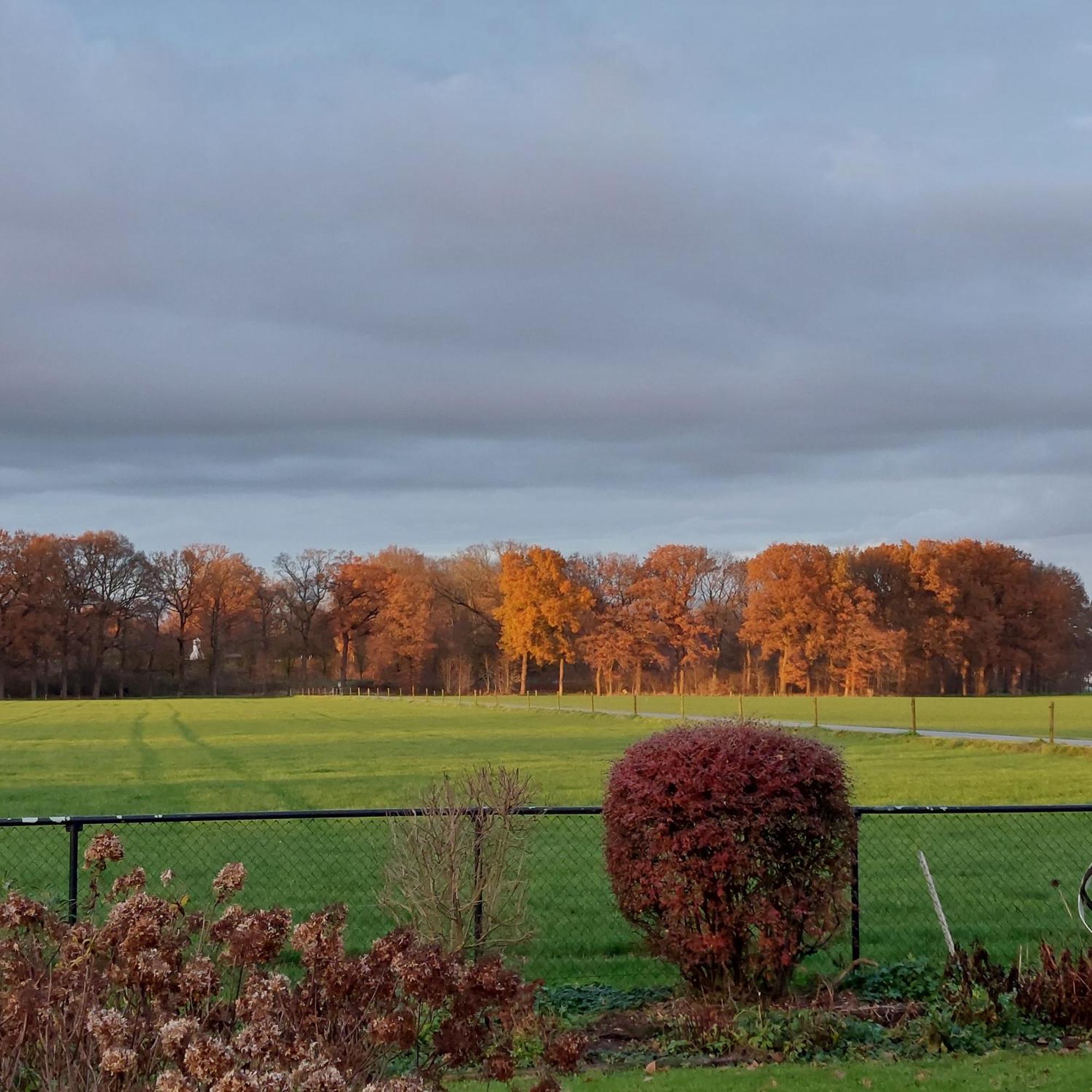 De Mast Bij Vechten On The Countryside & Close To Utrecht Apartment *