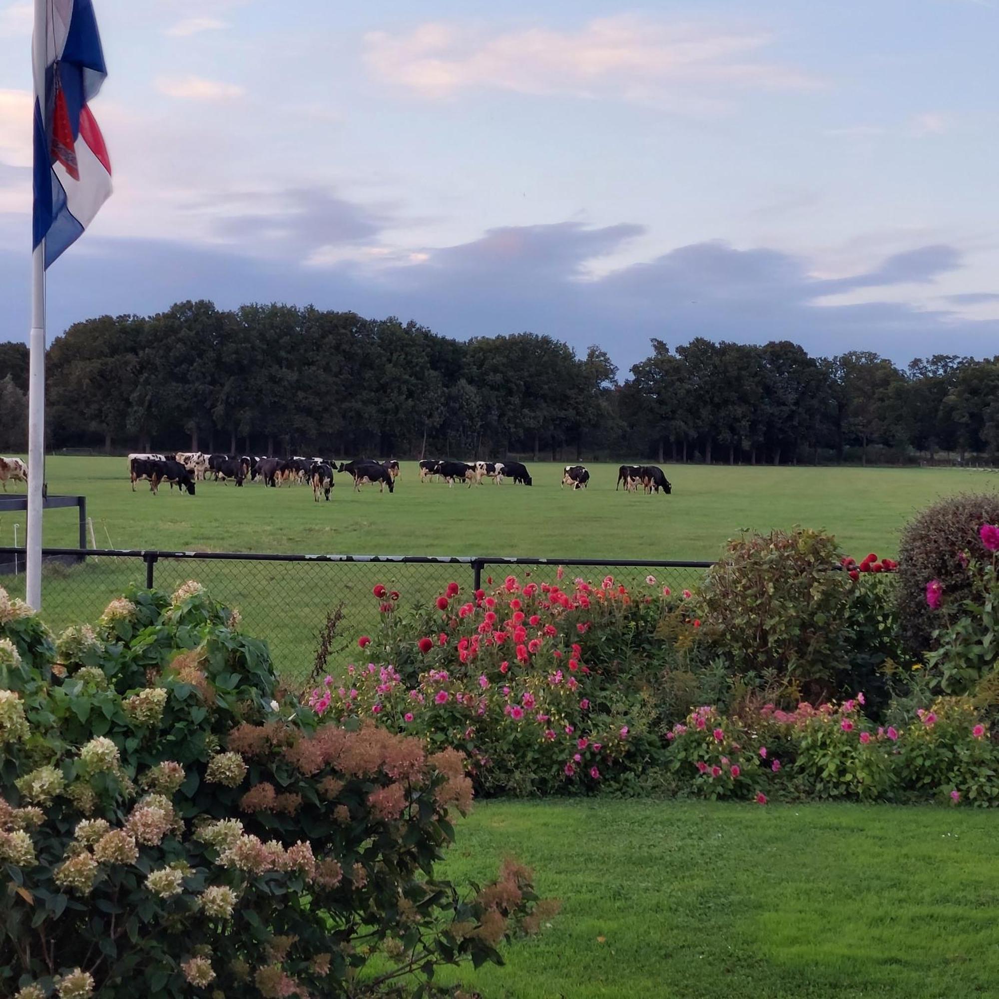 De Mast Bij Vechten On The Countryside & Close To Utrecht Apartment
