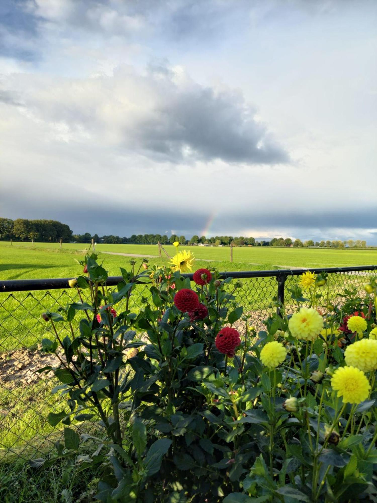 De Mast Bij Vechten On The Countryside & Close To Utrecht * Bunnik