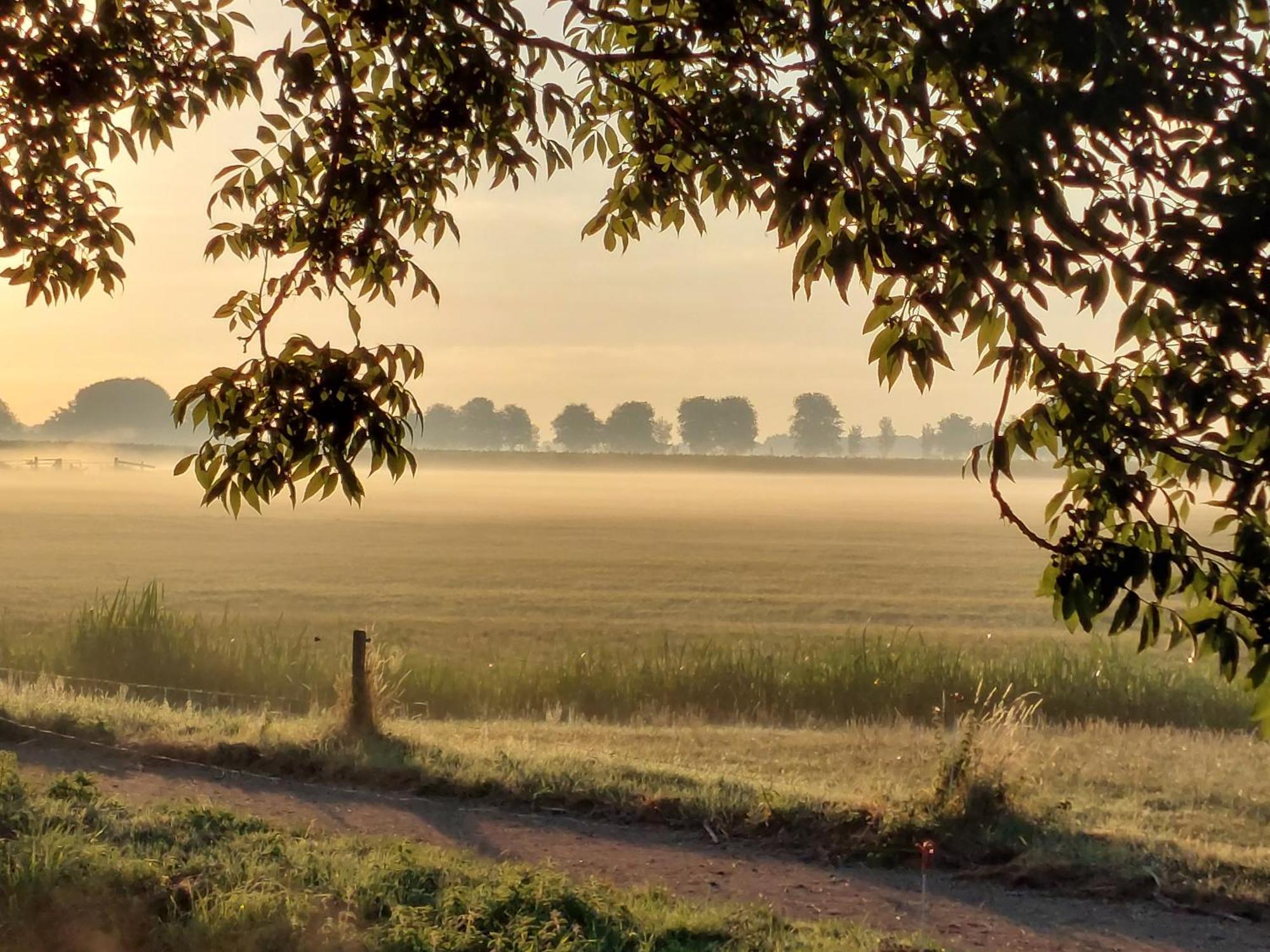De Mast Bij Vechten On The Countryside & Close To Utrecht * Bunnik