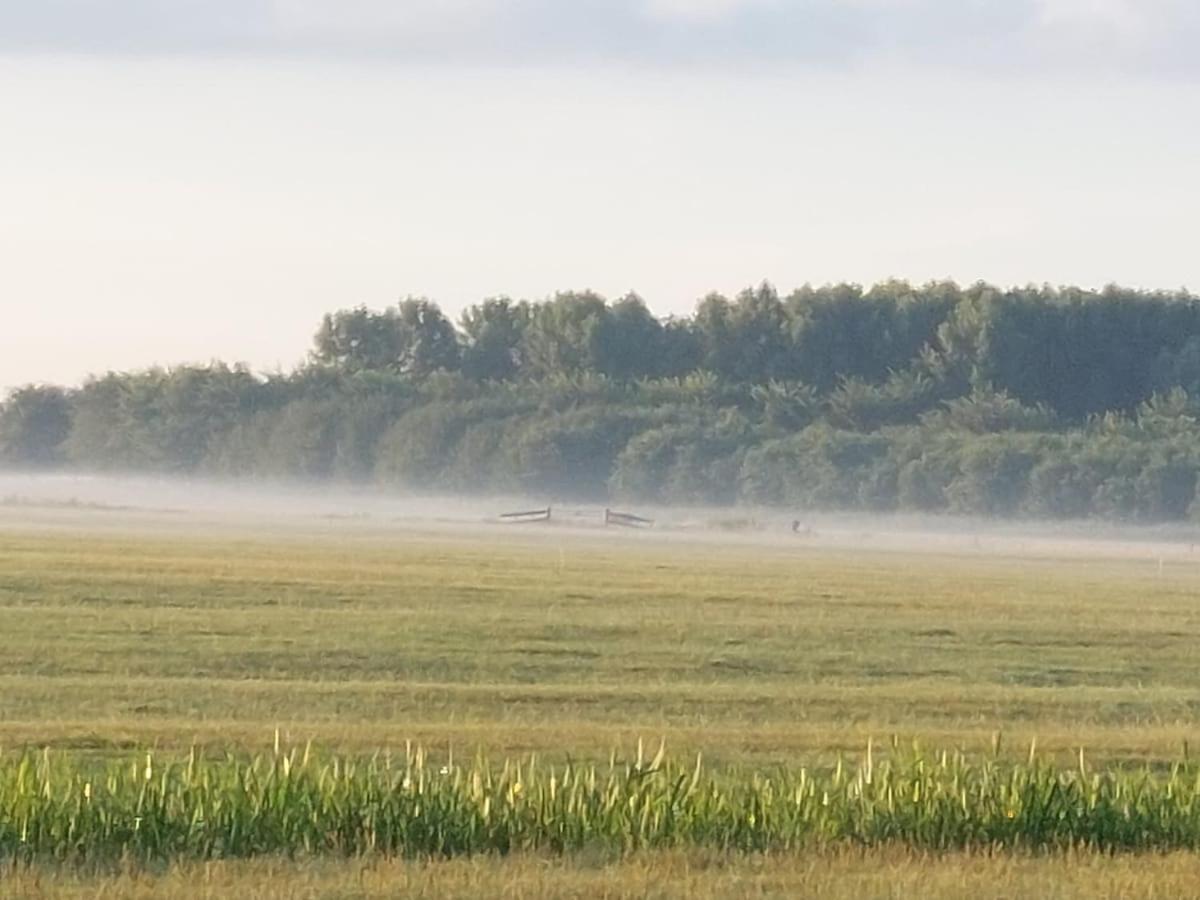 Appartamento De Mast Bij Vechten On The Countryside & Close To Utrecht Bunnik